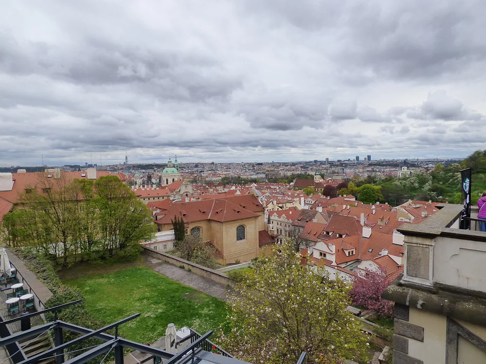 Slika je vidna v Google Chromu.