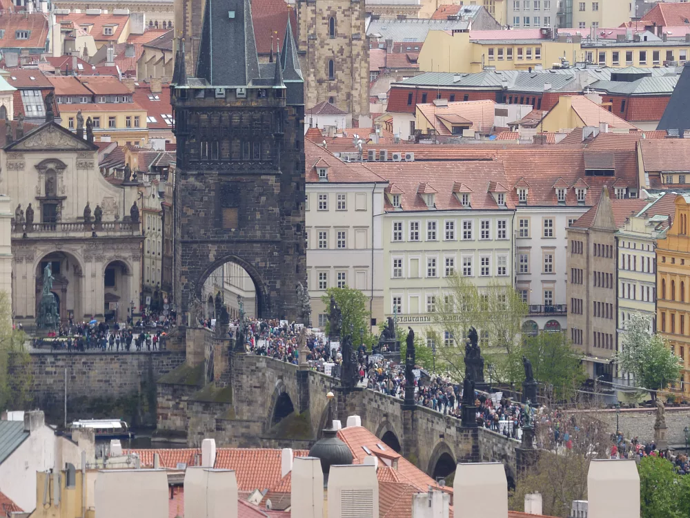 Slika je vidna v Google Chromu.