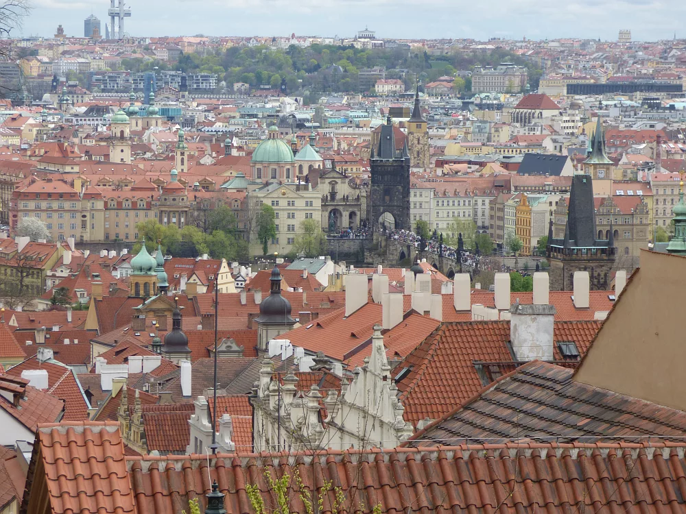 Slika je vidna v Google Chromu.