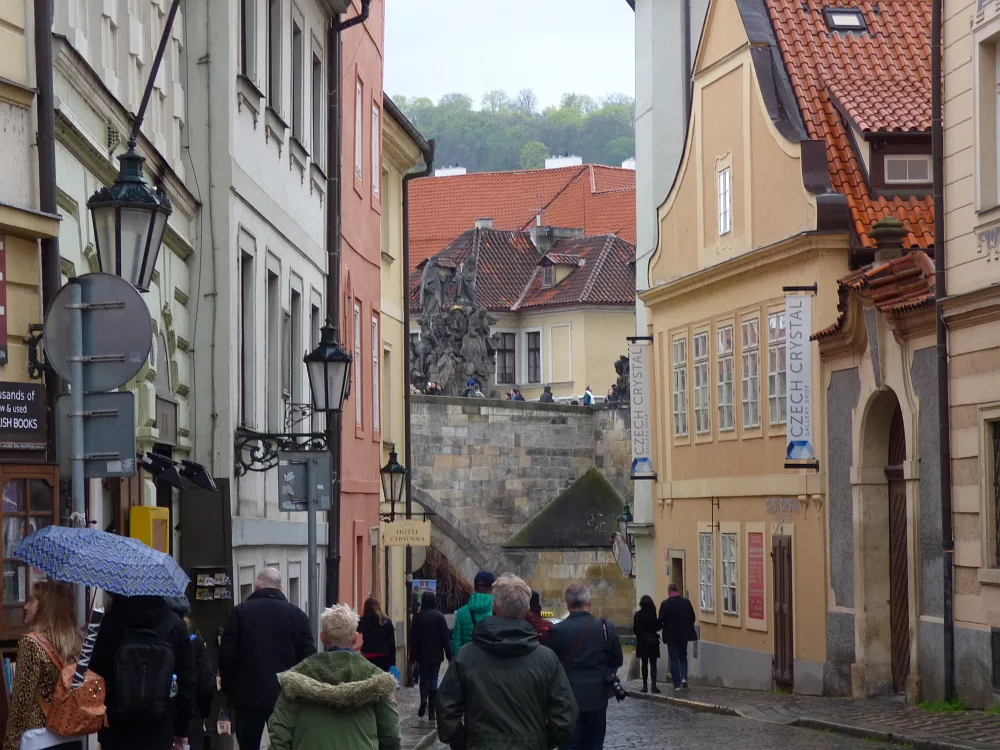 Slika je vidna v Google Chromu.