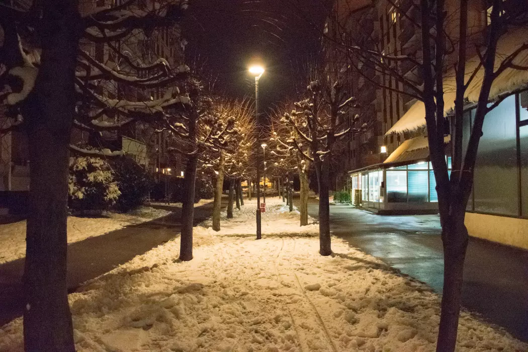 Slika je vidna v Google Chromu.