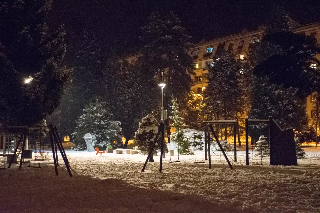 Slika je vidna v Google Chromu.