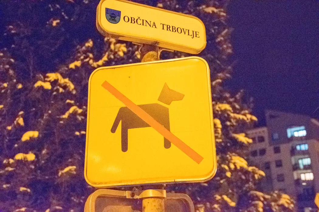 Slika je vidna v Google Chromu.