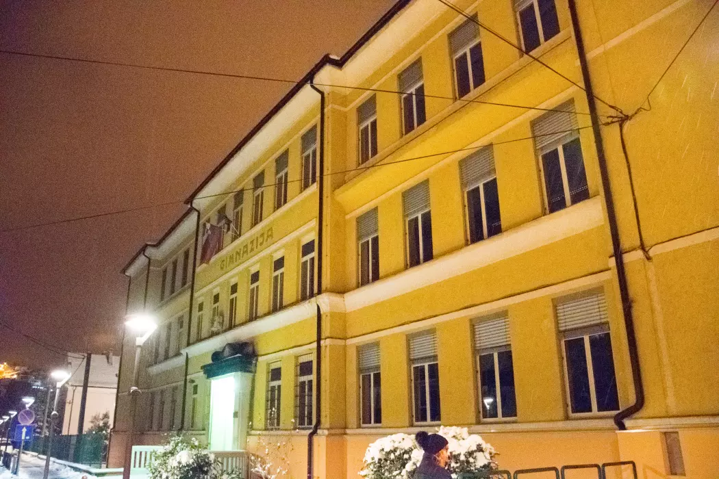 Slika je vidna v Google Chromu.