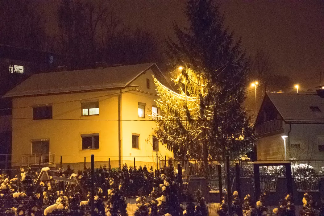 Slika je vidna v Google Chromu.