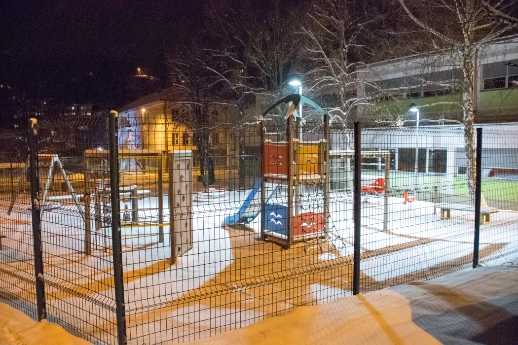 Slika je vidna v Google Chromu.