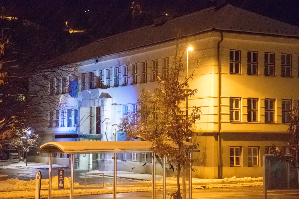 Slika je vidna v Google Chromu.