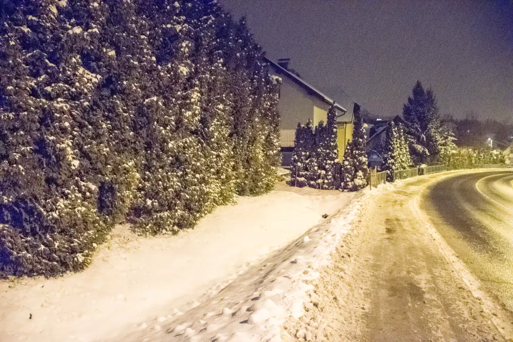 Slika je vidna v Google Chromu.